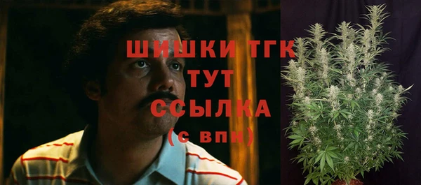 стаф Арсеньев