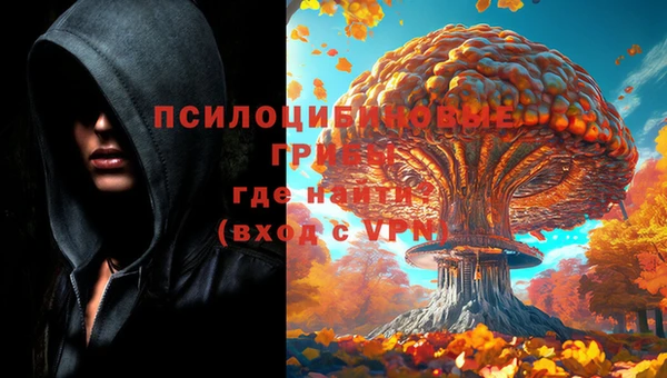 стаф Арсеньев