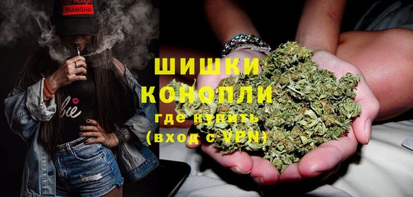 стаф Арсеньев