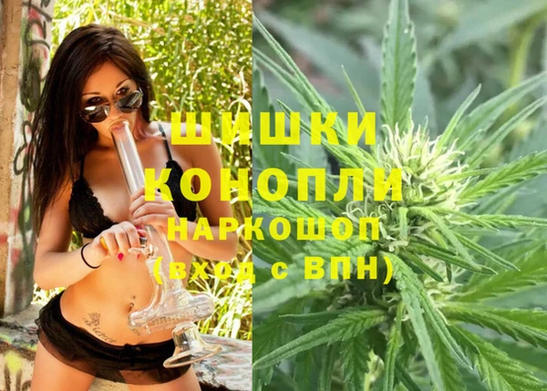 стаф Арсеньев