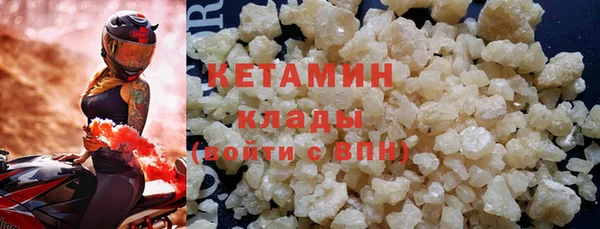 стаф Арсеньев