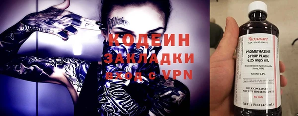 шишки Алзамай