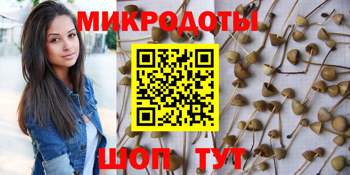 Галлюциногенные грибы прущие грибы  Вход с VPN  Саки  Псилоцибиновые грибы GOLDEN TEACHER 